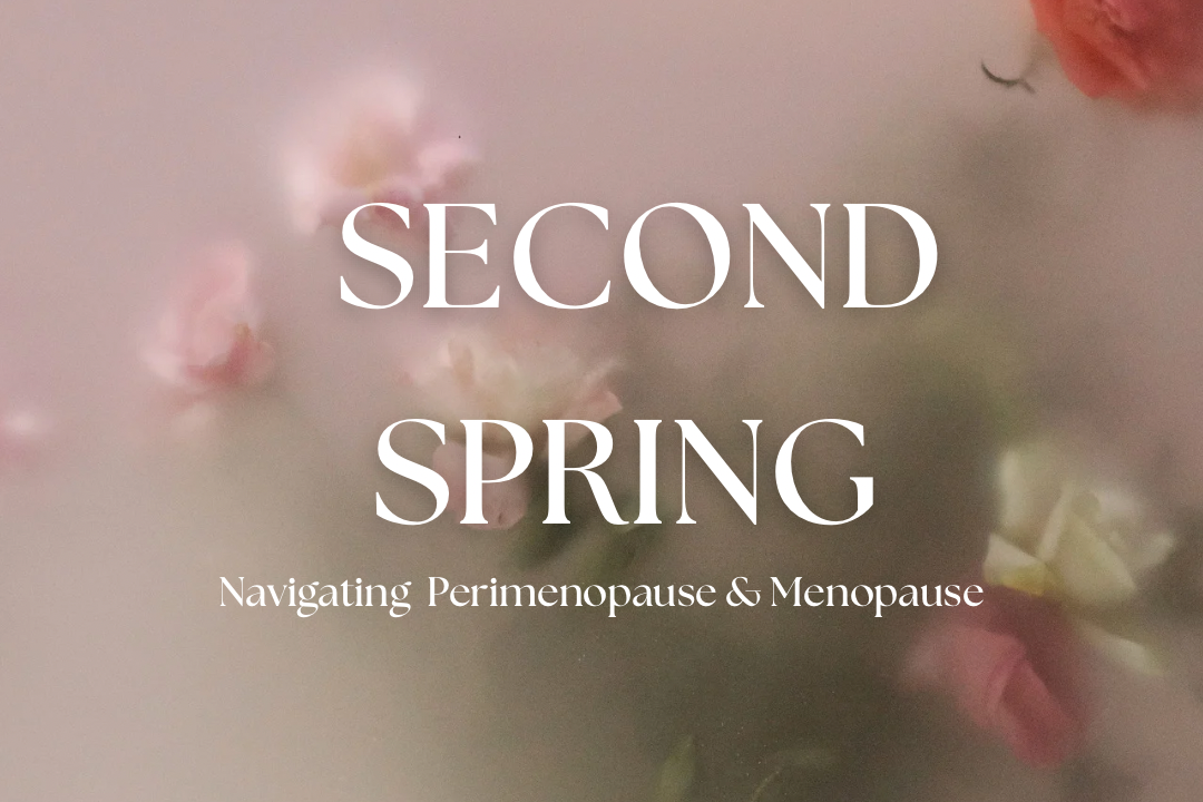 Second Spring: Navigating Perimenopause & Menopause workshop: Recording